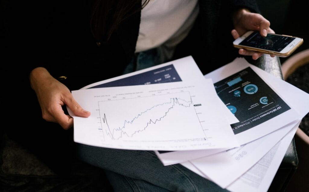 Accountant / Business Analyst